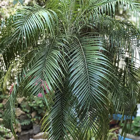 Univers Πανσιόν