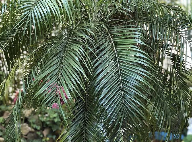 Univers Гостевой дом